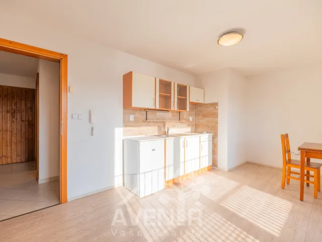 Pronájem bytu 1+kk 30 m², Moravní nábřeží, Uherské Hradiště - Rybárny