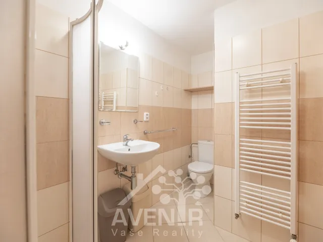 Pronájem bytu 1+kk 30 m², Moravní nábřeží, Uherské Hradiště - Rybárny