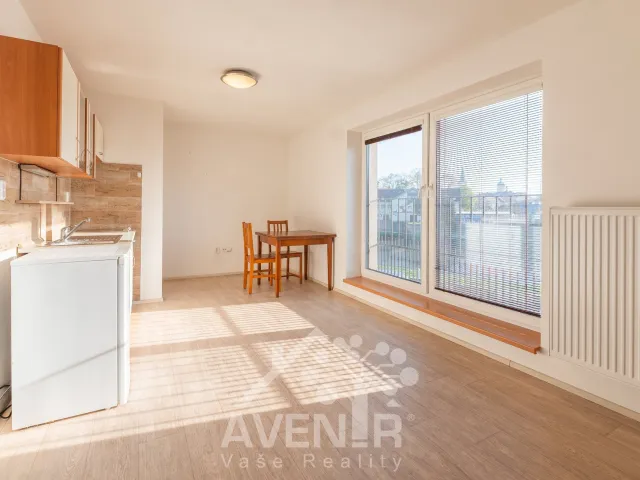 Pronájem bytu 1+kk 30 m², Moravní nábřeží, Uherské Hradiště - Rybárny