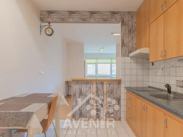 Prodej bytu 1+kk 54 m², Podlesí IV, Zlín