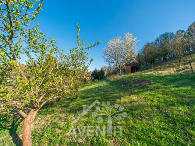 Prodej stavebního pozemku 1638 m², Kašava