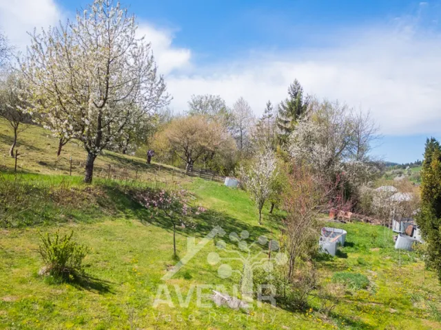 Prodej stavebního pozemku 1638 m², Kašava