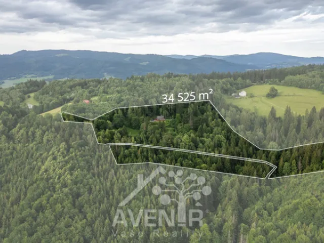 Prodej rodinného domu 168 m², pozemek 34525 m², Mosty u JablunkovaProdej rodinného domu 168 m², pozemek 34525 m², Mosty u Jablunkova