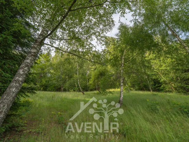 Prodej rodinného domu 168 m², pozemek 34525 m², Mosty u Jablunkova