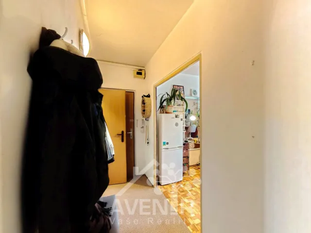 Pronájem bytu 1+1 36 m², Zábraní, Napajedla