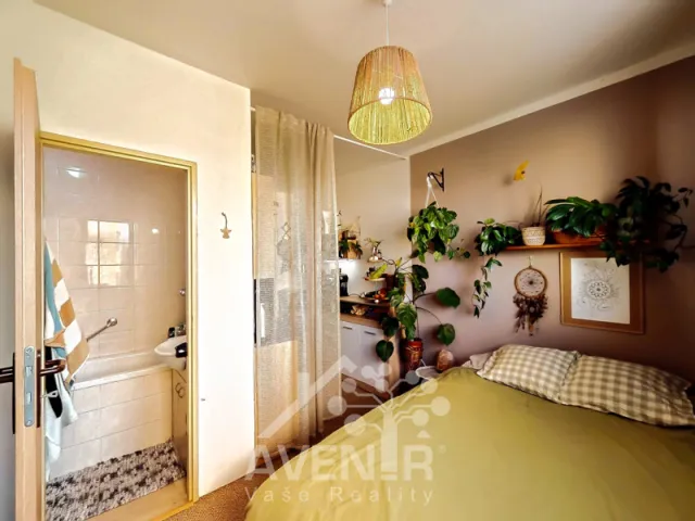 Pronájem bytu 1+1 36 m², Zábraní, Napajedla