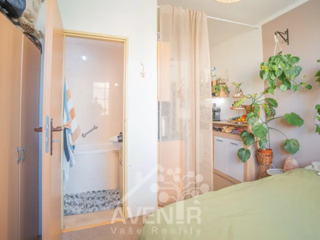 Pronájem bytu 1+1 36 m², Zábraní, Napajedla