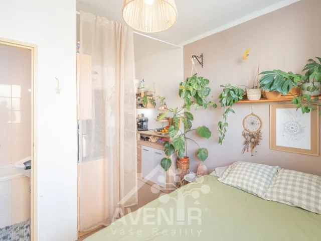 Pronájem bytu 1+1 36 m², Zábraní, Napajedla