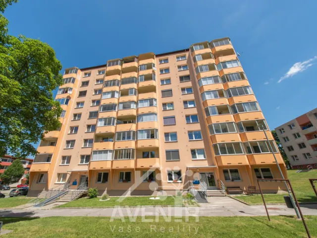 Pronájem bytu 1+1 34 m², Nábřeží, Napajedla