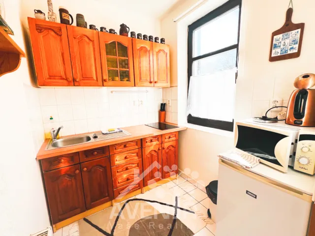 Pronájem bytu 1+kk 34 m², Harrachov - Nový Svět