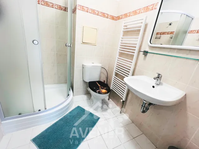 Pronájem bytu 1+kk 34 m², Harrachov - Nový Svět