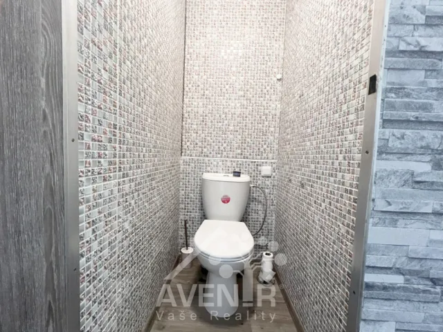 Pronájem bytu 2+1 58 m², Mělník