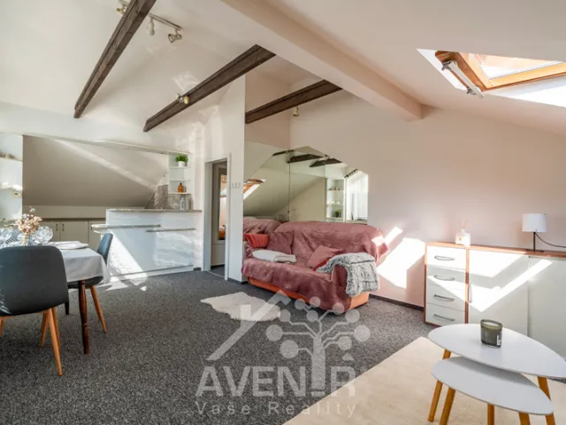 Prodej rodinného domu 399 m², pozemek 164 m², Jirchářská, Železný Brod