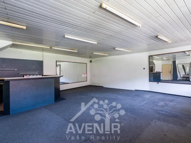 Prodej rodinného domu 399 m², pozemek 164 m², Jirchářská, Železný Brod