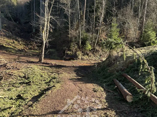 Prodej louky 14441 m², Bozkov