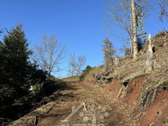 Prodej louky 14441 m², Bozkov