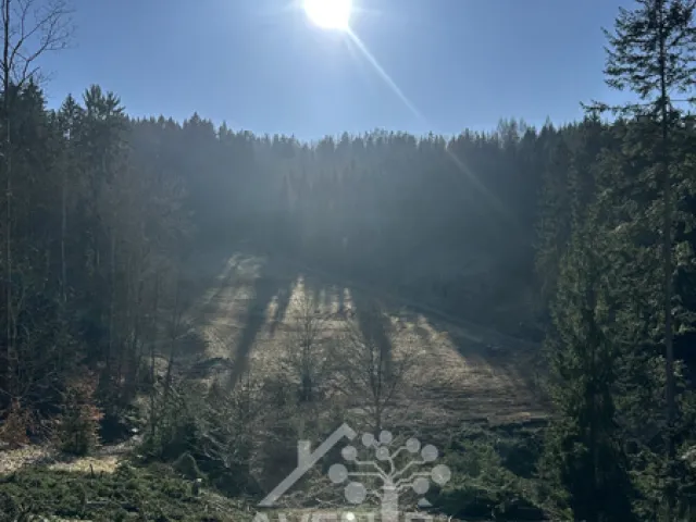 Prodej louky 14441 m², Bozkov