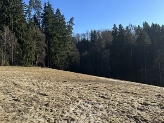 Prodej louky 14441 m², Bozkov