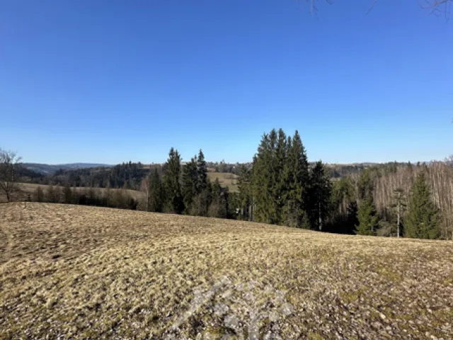 Prodej louky 14441 m², Bozkov