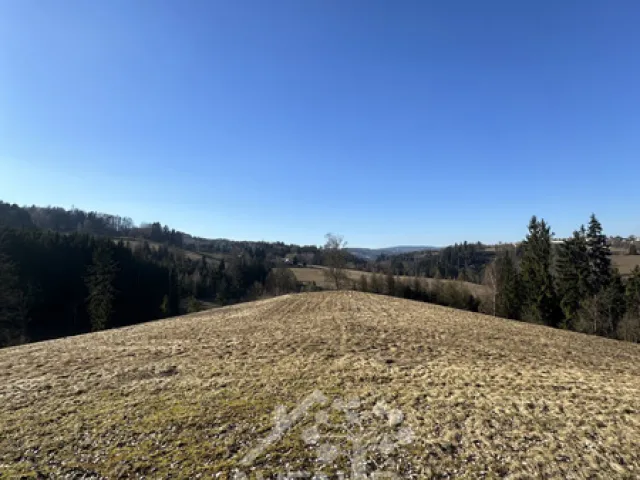 Prodej louky 14441 m², Bozkov