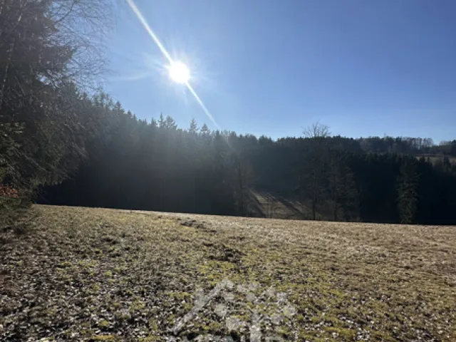 Prodej louky 14441 m², Bozkov