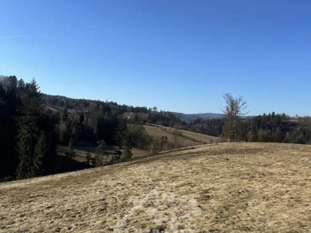 Prodej louky 14441 m², Bozkov