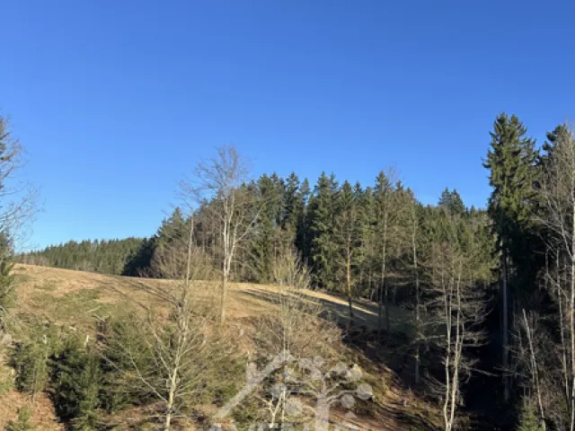 Prodej louky 14441 m², Bozkov