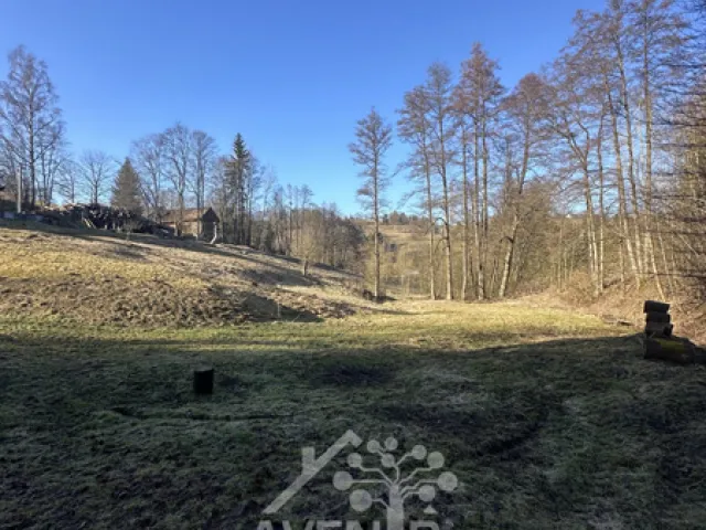 Prodej louky 5815 m², Bozkov