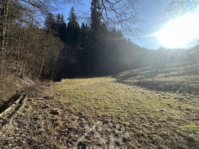 Prodej louky 5815 m², Bozkov