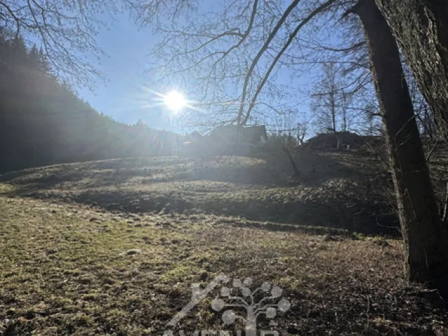 Prodej louky 5815 m²