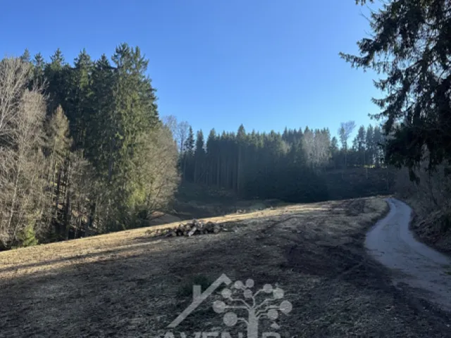 Prodej louky 15029 m²