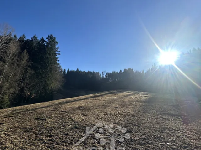 Prodej louky 15029 m²