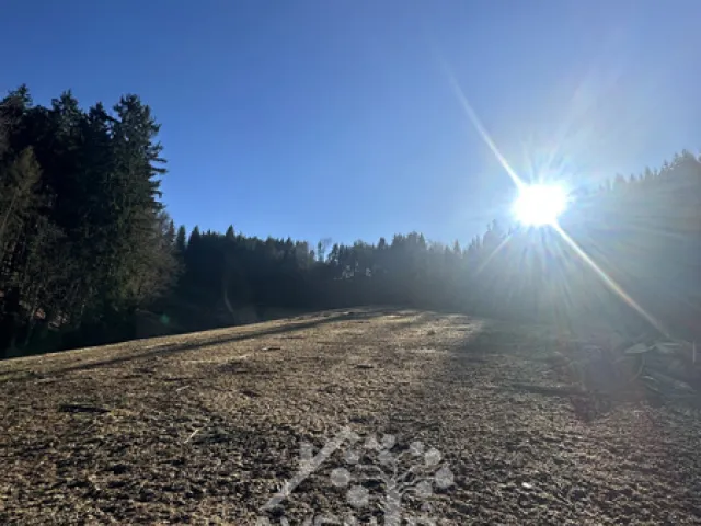 Prodej louky 15029 m²