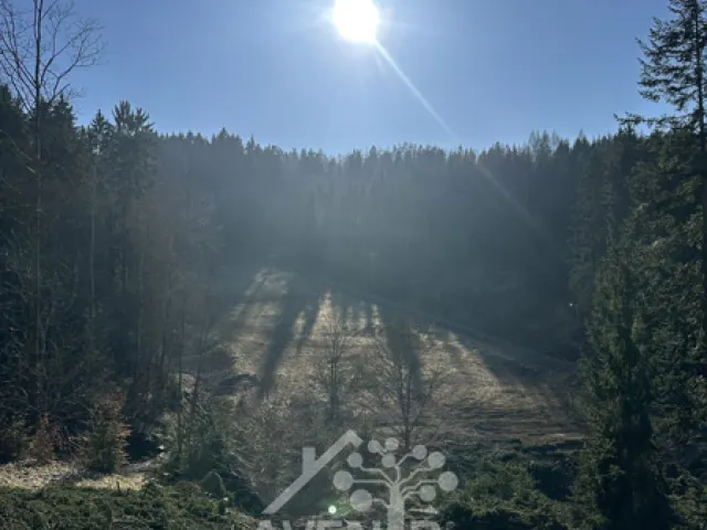 Prodej louky 15029 m²