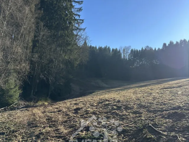 Prodej louky 15029 m²