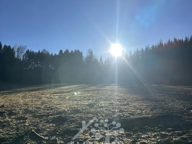 Prodej louky 15029 m²