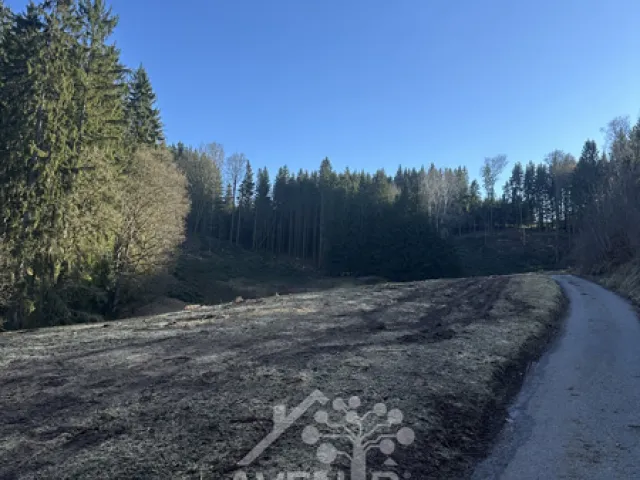 Prodej louky 15029 m²