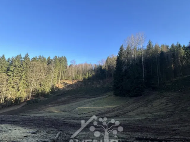 Prodej louky 15029 m²