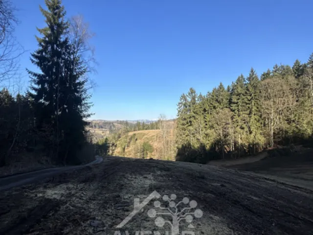 Prodej louky 15029 m²