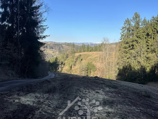 Prodej louky 15029 m²