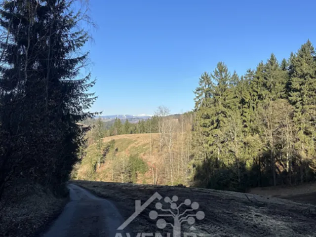 Prodej louky 15029 m²