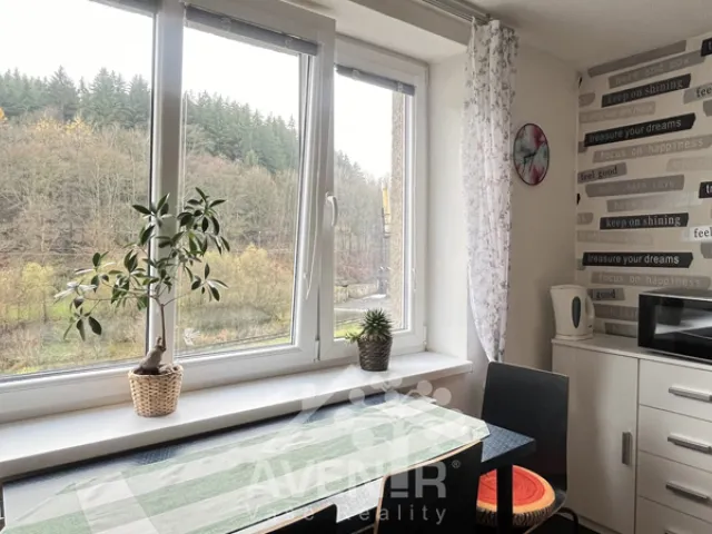 Pronájem bytu 1+1 45 m², Plavy - Haratice