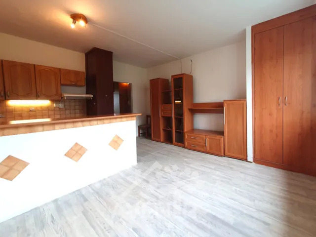 Prodej bytu 1+1 43 m², Na Vápence, Železný Brod
