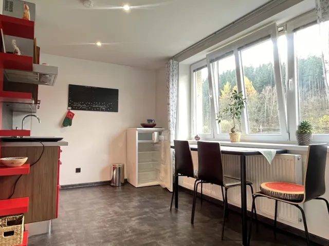 Pronájem bytu 1+1 45 m²