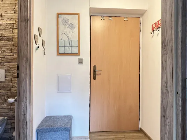 Pronájem bytu 1+1 45 m²