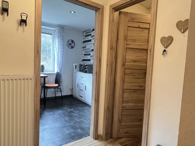 Pronájem bytu 1+1 45 m²