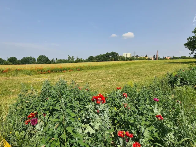 Prodej stavebního pozemku 2 301 m²