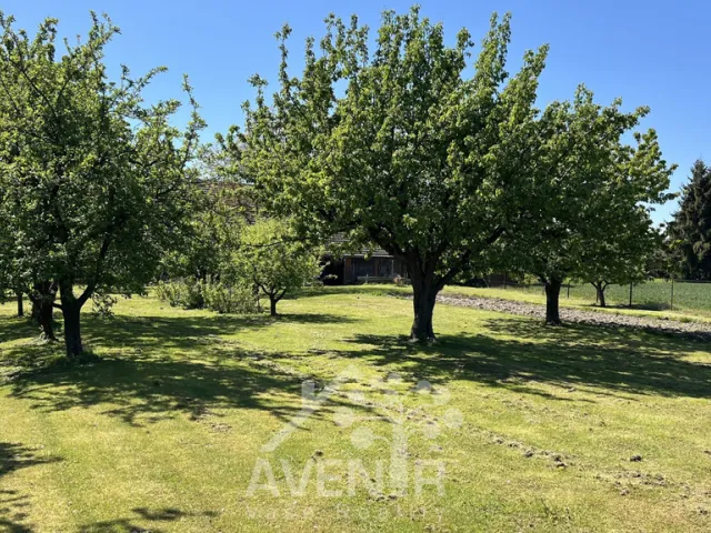 Prodej zemědělské usedlosti 180 m², pozemek 3 461 m² Bílsko u Hořic, okres Jičín