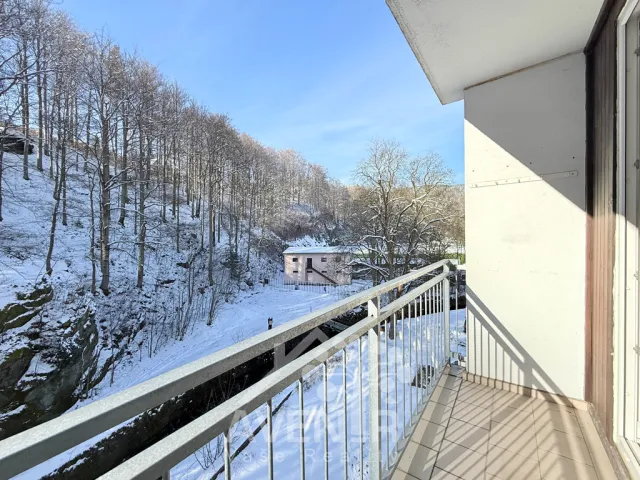 Prodej bytu 2+1 55 m², Krátká, Desná - Desná II