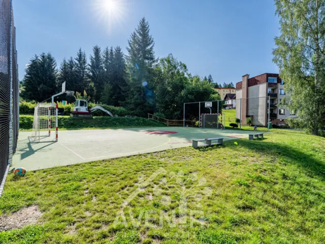 Prodej bytu 1+1 37 m², Rokytnice nad Jizerou - Horní Rokytnice